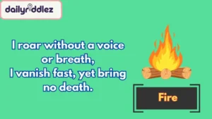 Campfire Riddles