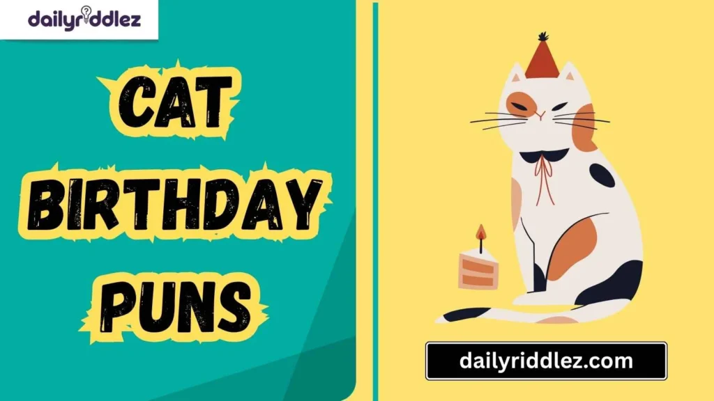 Cat Birthday Puns for Kids’