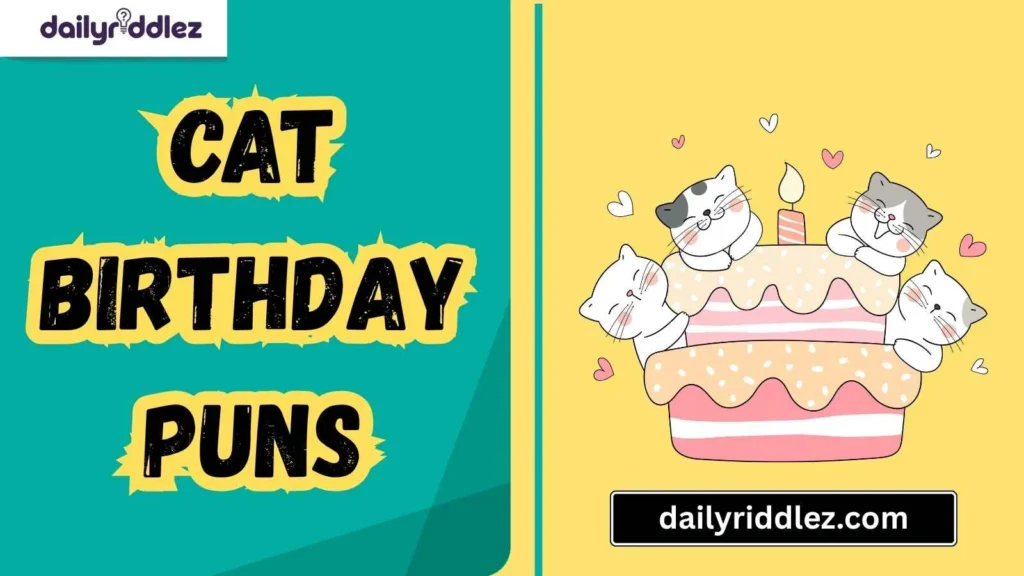Clever Cat Birthday Puns