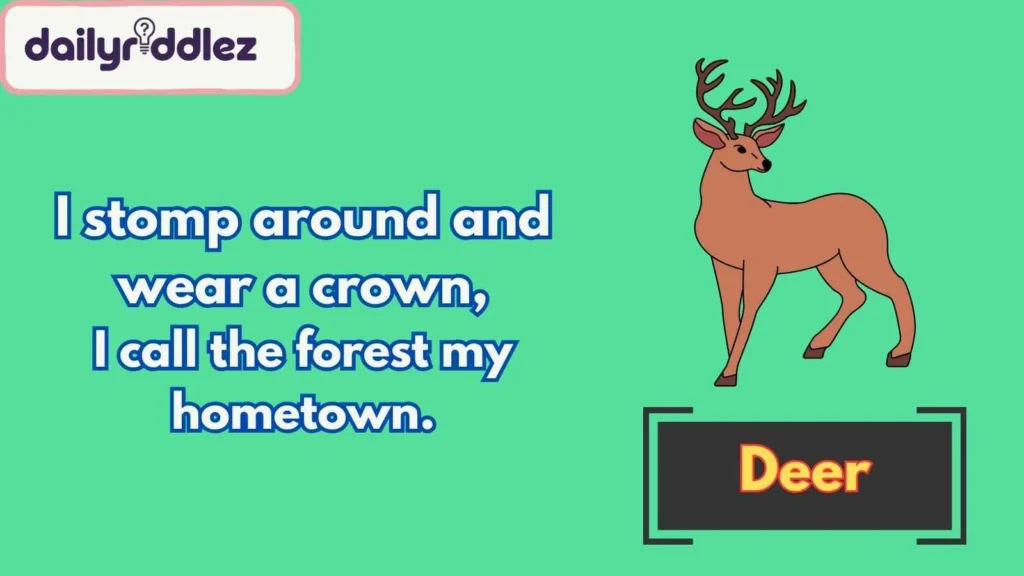 Forest Creature Riddles