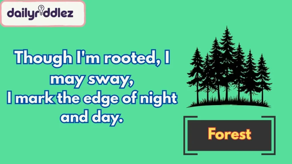 Forest Fantasies