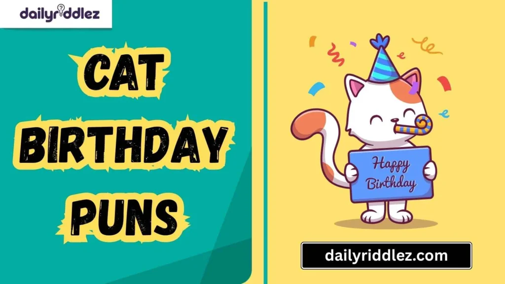 Funny Cat Birthday Puns