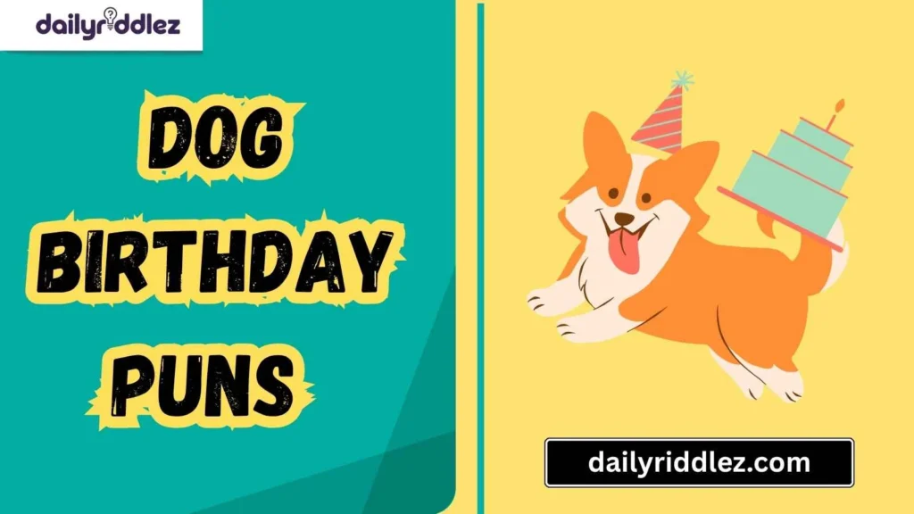 Gift-Themed Dog Birthday Puns