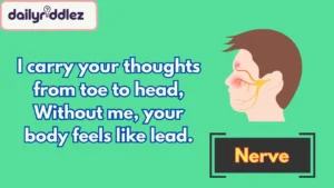 Read more about the article 160+ Medical Riddles with Answers to Tickle Your Brain 🧠🩺 (2025)