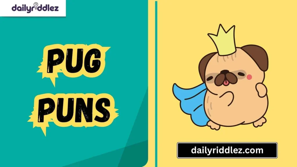 Pug Puns for Every Occasion