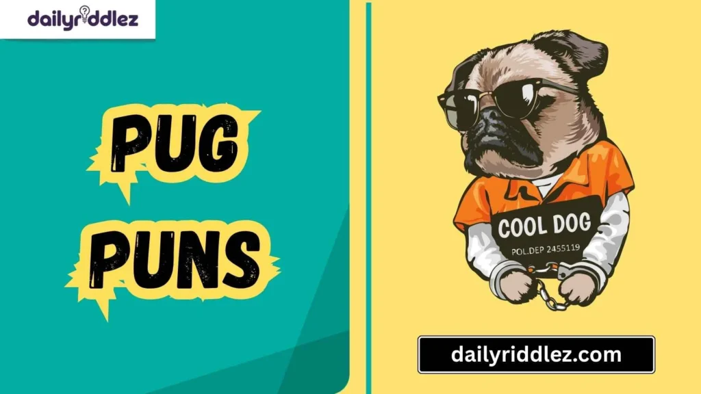Pug Puns for Pet Parents