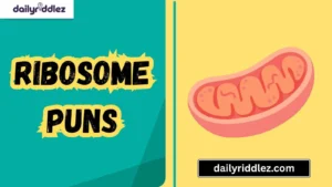 Read more about the article 157+ Ribosome Puns That Are Protein-Packed with Punchlines and Laughter (2025)
