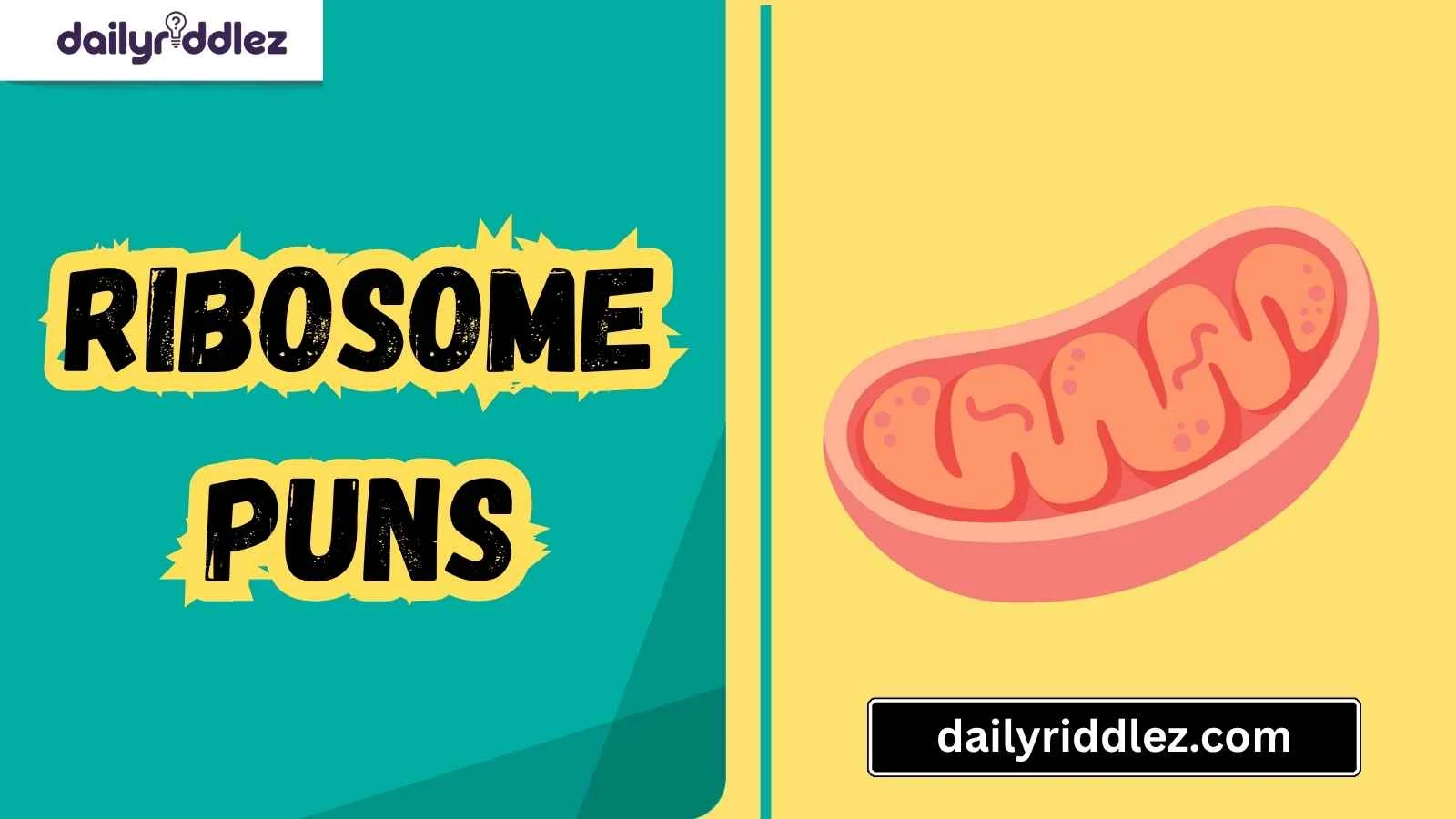 Read more about the article 157+ Ribosome Puns That Are Protein-Packed with Punchlines and Laughter (2025)