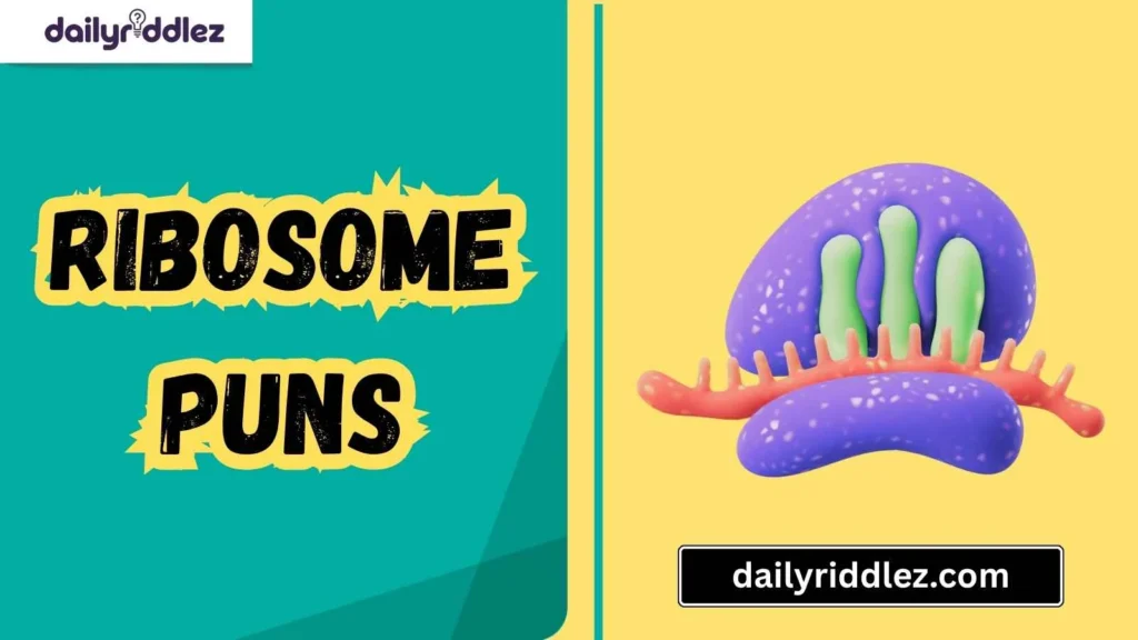 Ribosome Puns for Biology Students