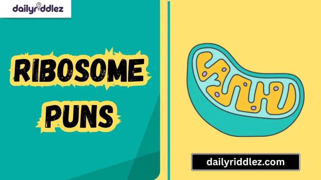 Ribosome Puns for Everyday Laughs