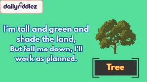 Riddles About Wood