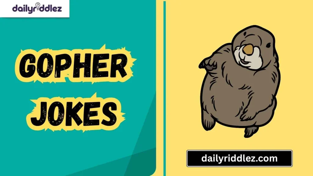 Silly Gopher Scenarios