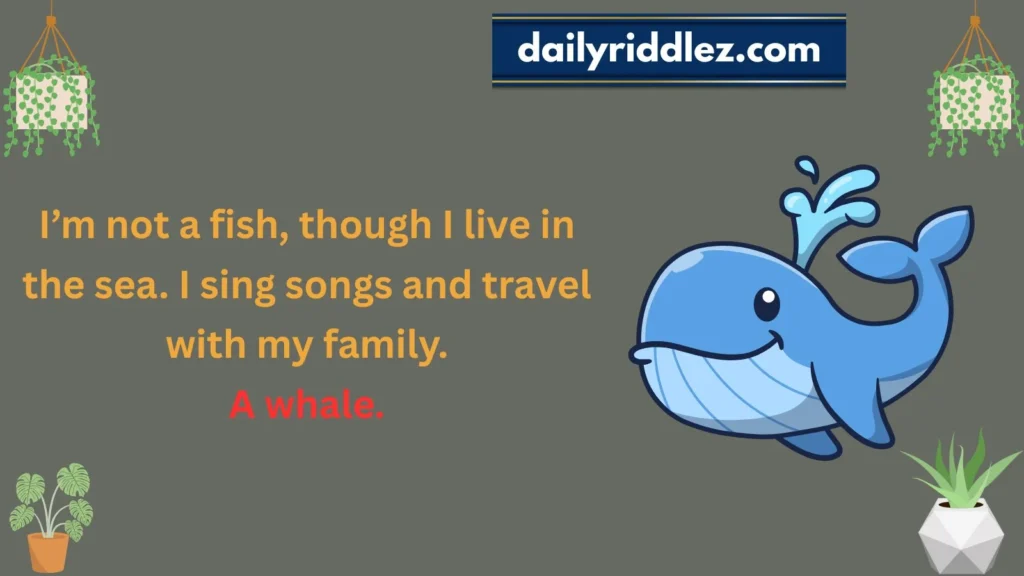 Clever Whale Riddles