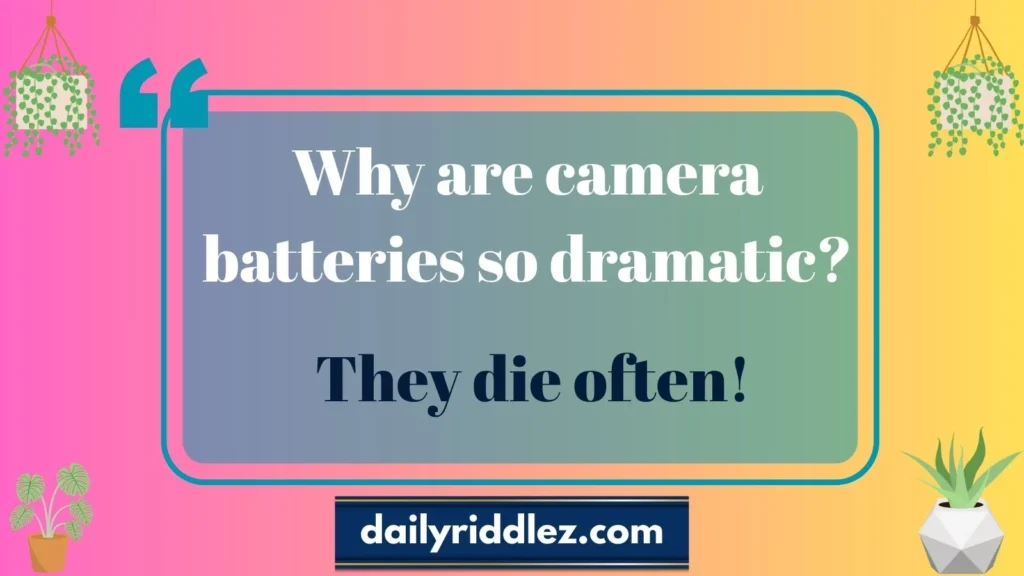 Funny Camera Riddles