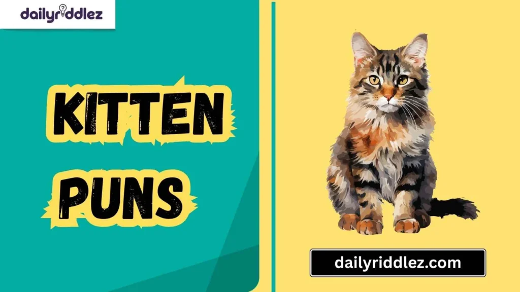 Funny Kitten Puns for Birthdays