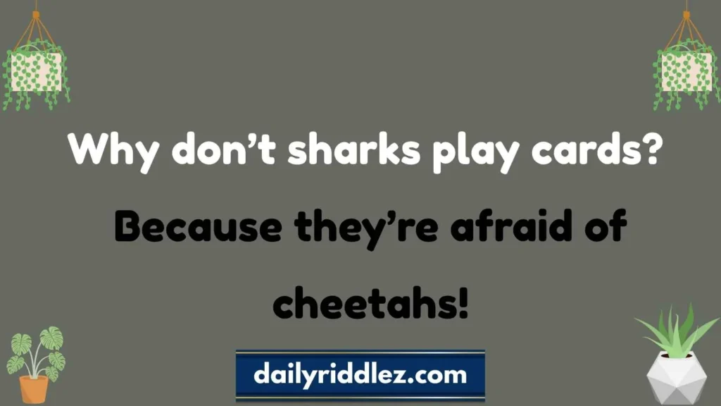Funny Shark Riddles for Kids