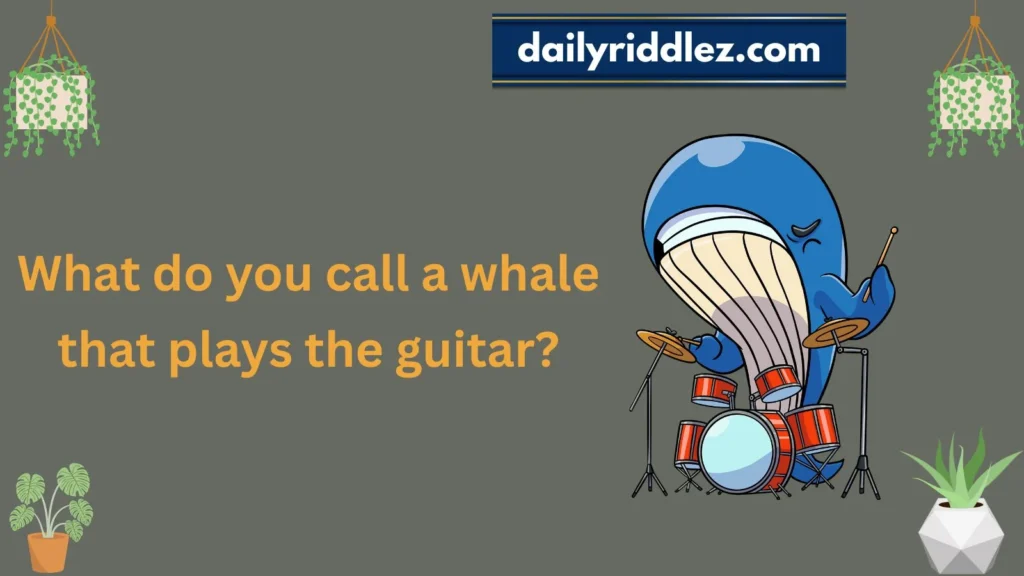 Funny Whale Riddles
