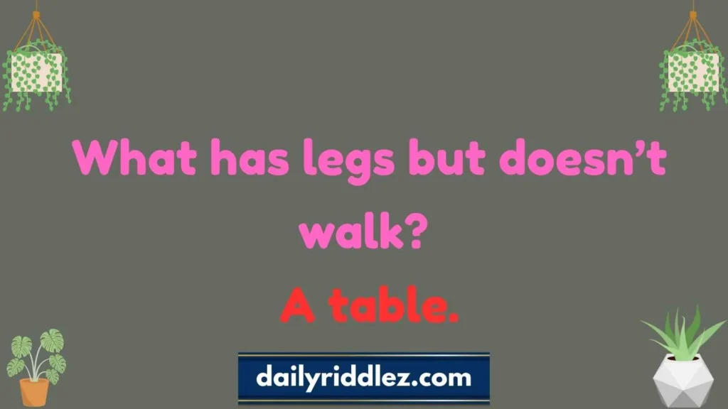 Kid Friendly Riddles