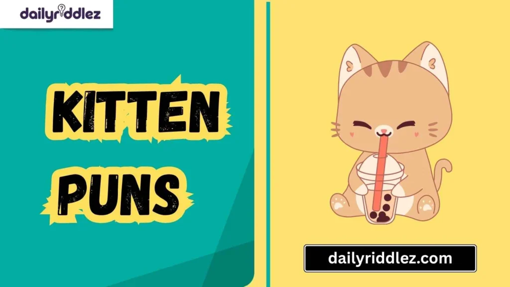  Kitten Puns for Pet Names & Nicknames
