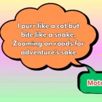 201+ Motorcycle Riddles That Will Rev Up Your Brain (2025)