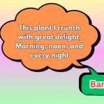 179+ Panda Riddles That Will Make You Bamboo-zled (2025)