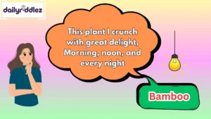 Panda Riddles