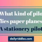 130+ Pilot Riddles That’ll Take Your Brain to New Heights 🧠💡(2025)