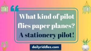 Read more about the article 130+ Pilot Riddles That’ll Take Your Brain to New Heights 🧠💡(2025)