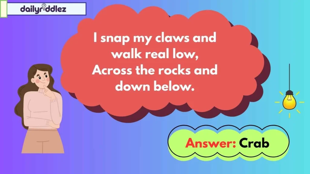 Riddles for Kids: Simple & Silly