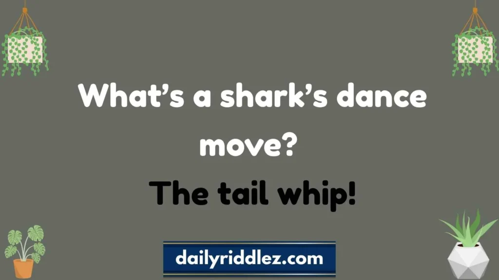 Shark Riddles