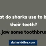 130+ Shark Riddles That Will Make You Smile & Think!😂(2025)