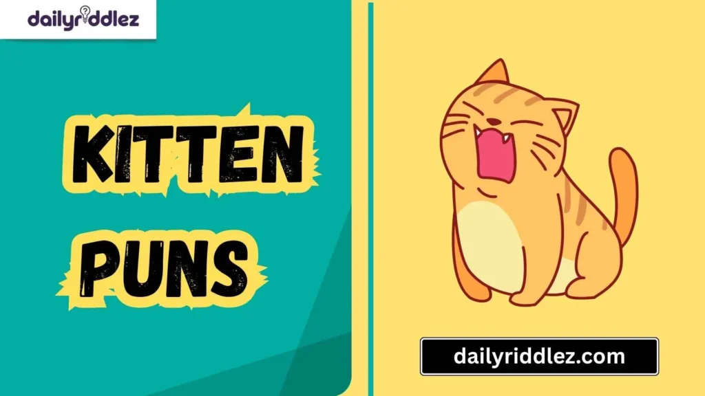  Silly & Random Kitten Puns