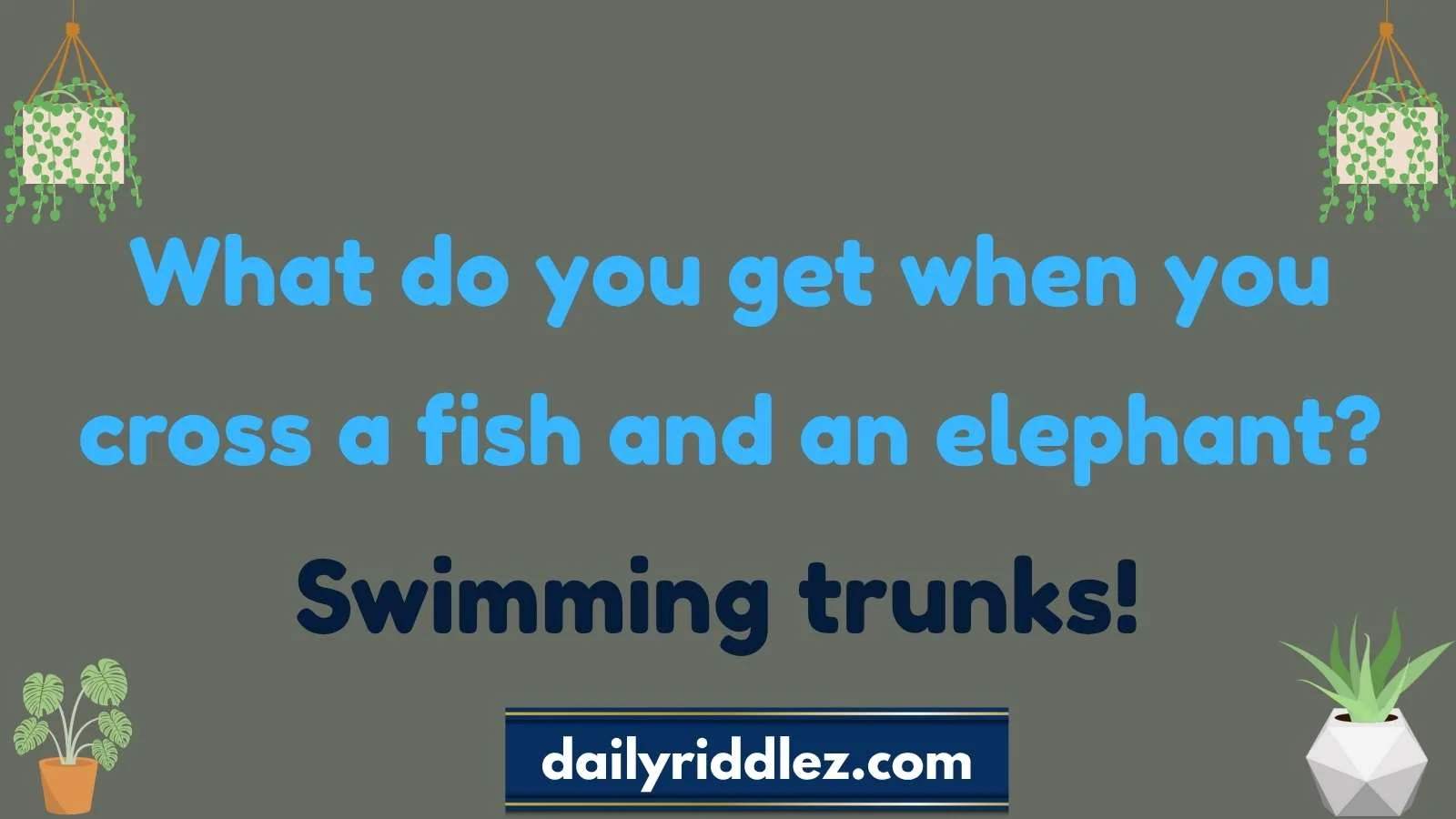 Read more about the article 270+ Swimming Riddles That’ll Make Waves of Laughter!(2025)