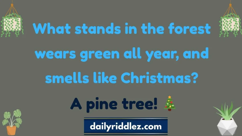 Tree Riddles for Kids