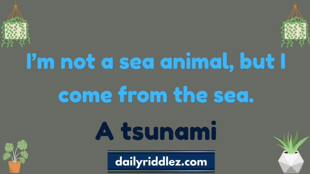 Tsunami Riddles for Kids Fun Safe