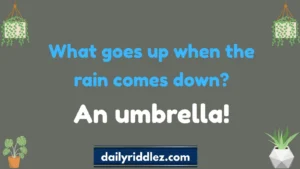 Read more about the article 230+ The Dark Side of Umbrella Riddles: Only 1% Can Solve These 🤔☔