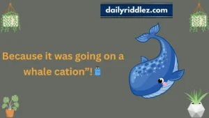 Read more about the article 213+ Whale Riddles So Smart, Even Dolphins Are Jealous 🐬🐋 (2025)🐋🖼️