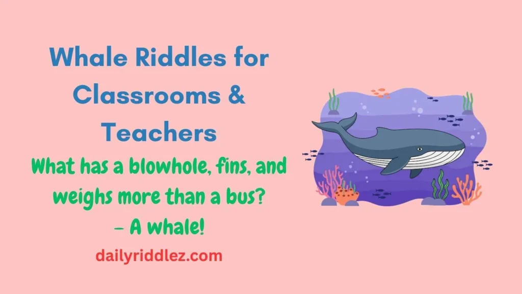 Whale Riddles for Classrooms & Teachers