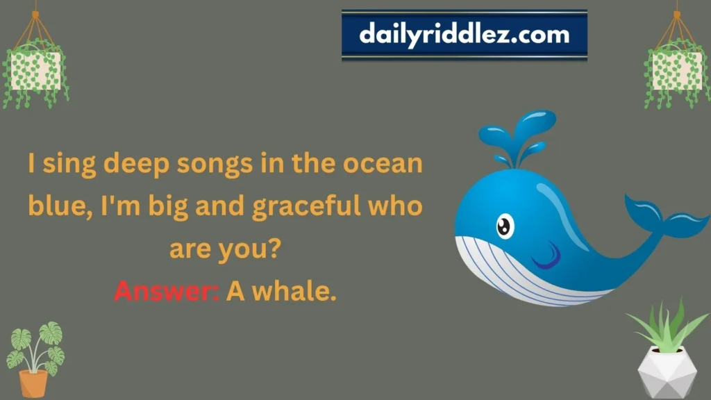 Whale Riddles with Answers