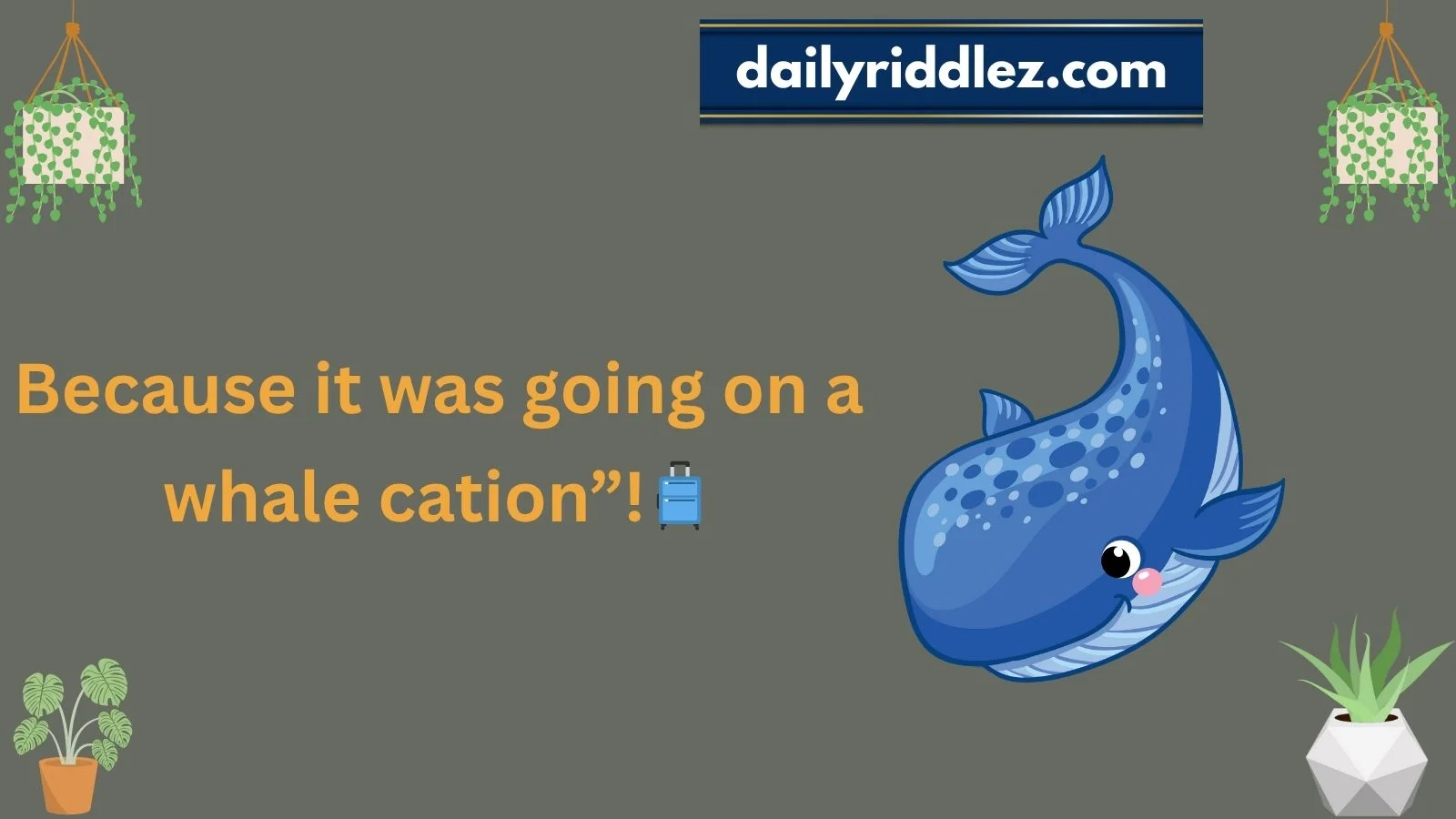 Whale Riddles