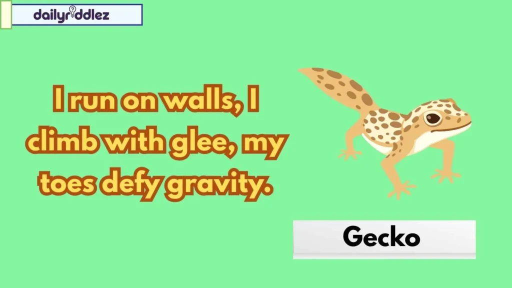 Lizard Riddles