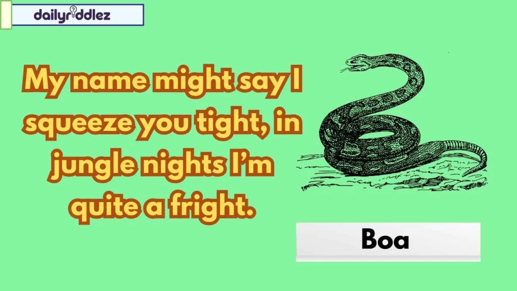 Snake Riddles