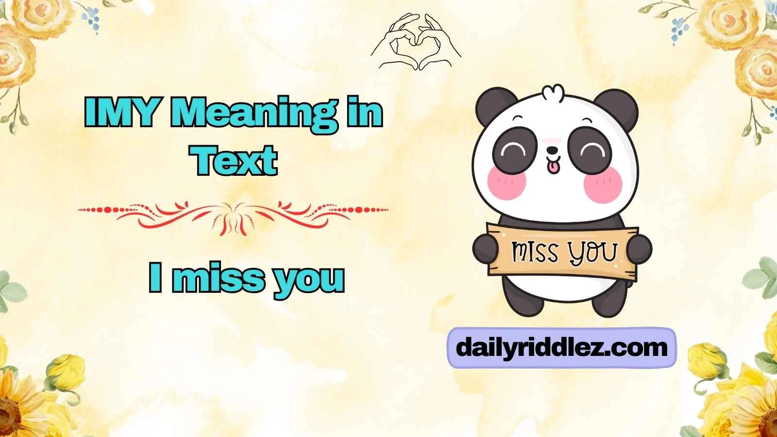 IMY Meaning in Text