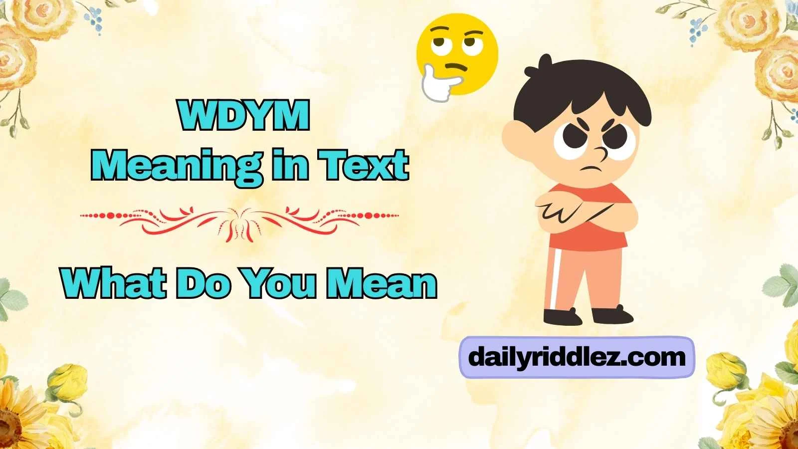 WDYM Meaning in Text