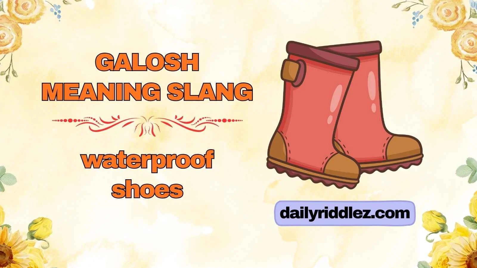 Galosh Meaning Slang