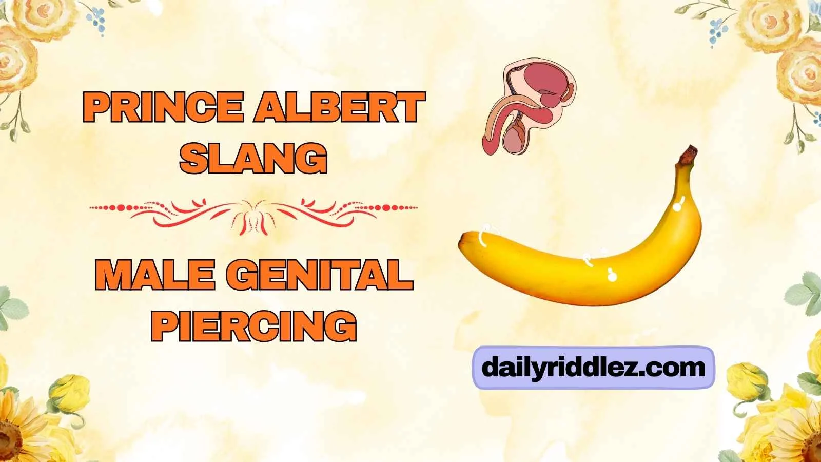 Prince Albert Slang