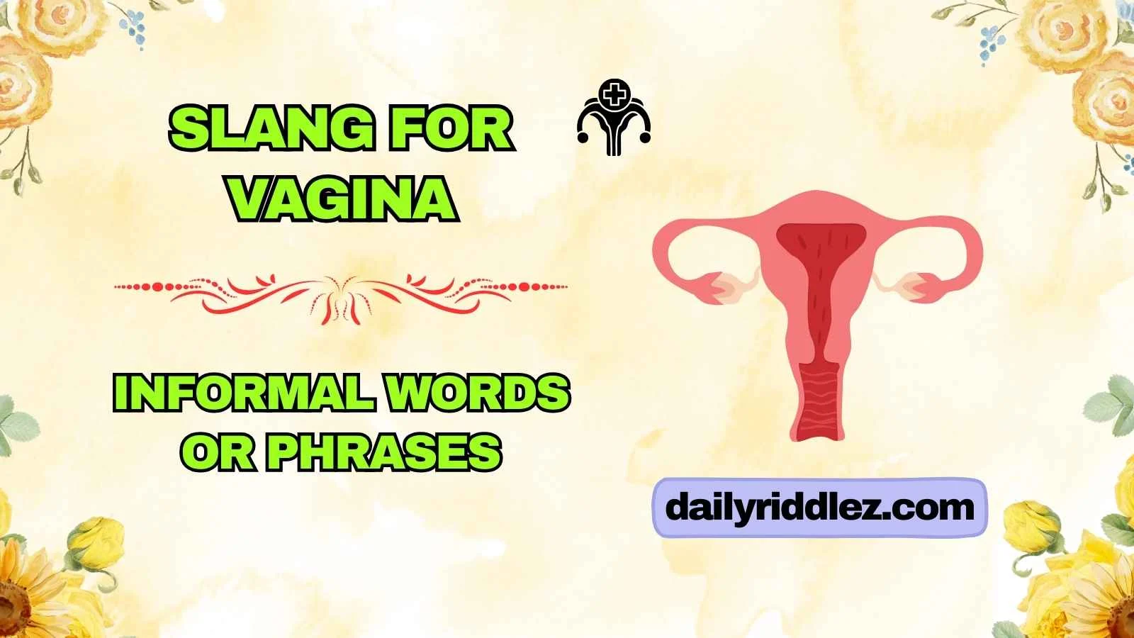 Slang for Vagina